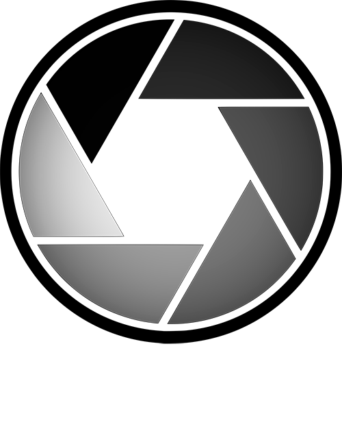 blvideo